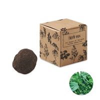 BOMBA DI SEMI